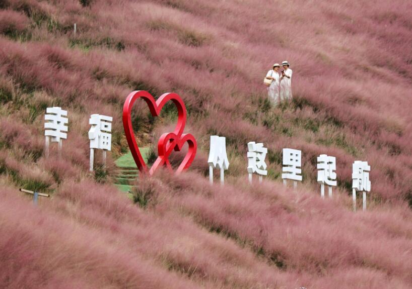 浪漫粉黛領銜秋色